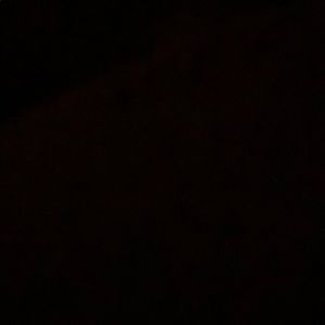 Meet your Posher, Eliza